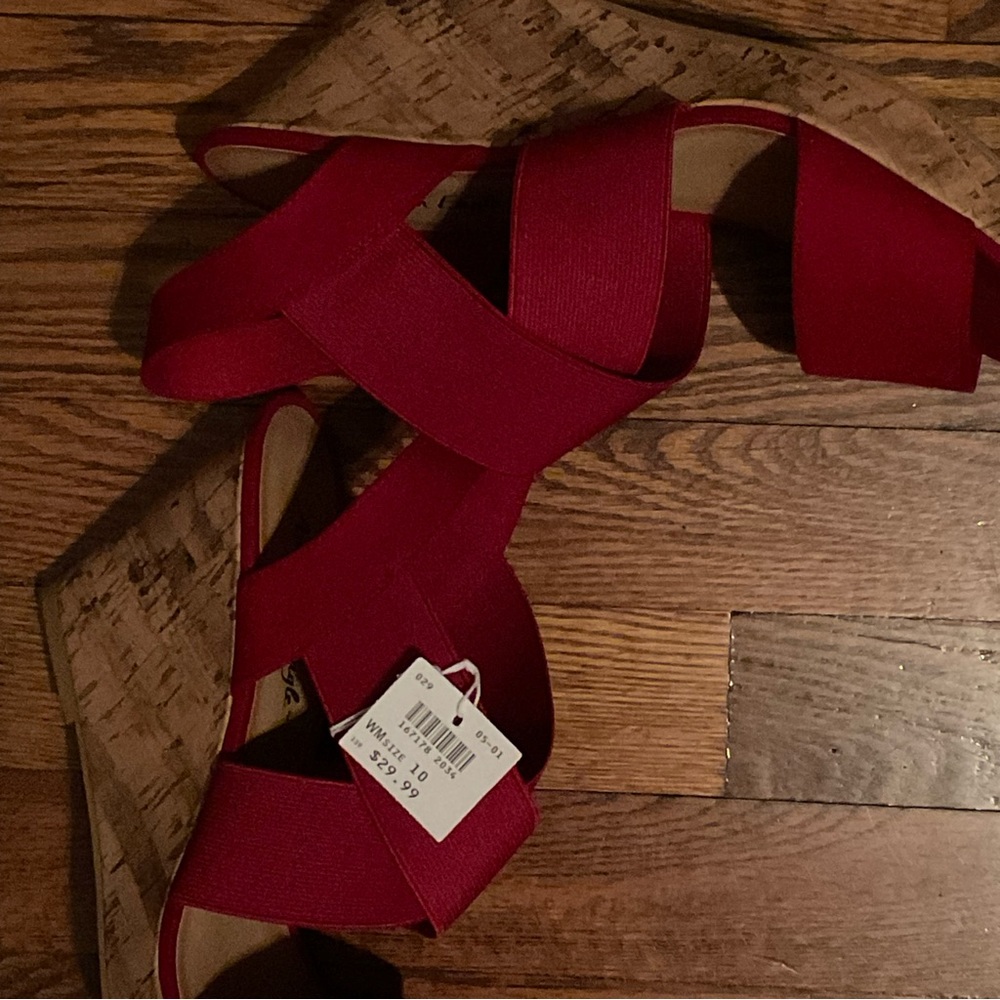 Red Wedges - Picture 5 of 5